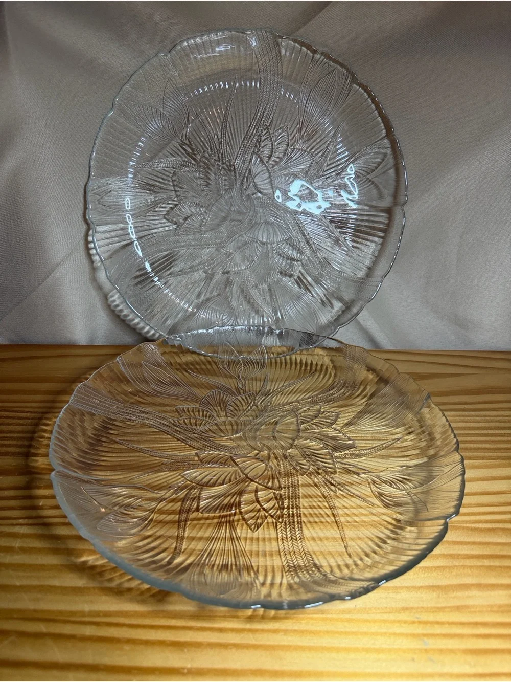 Vintage Arcoroc France Canterbury Crocus Clear Glass 2 - 11” Dinner Plates